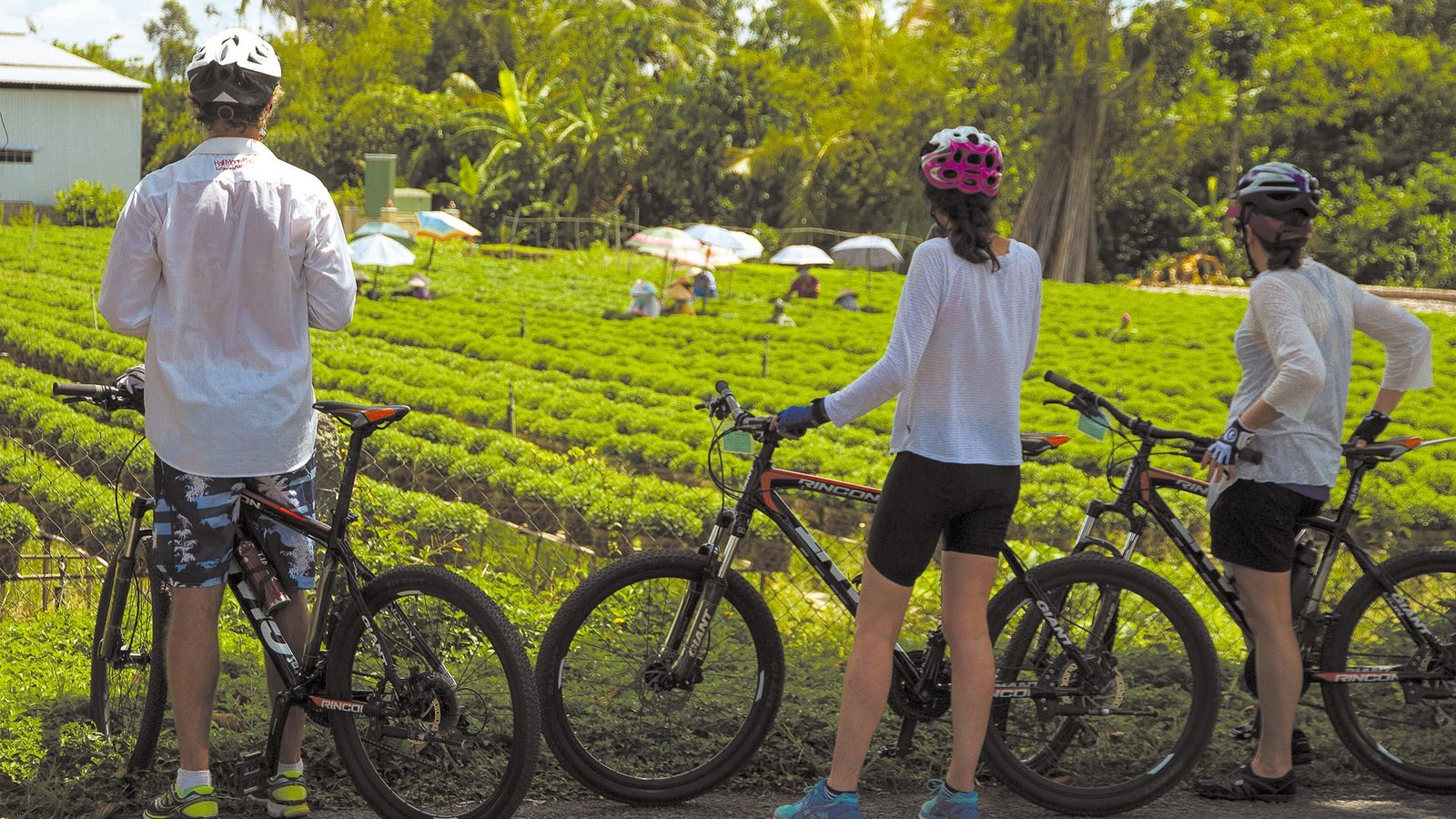 1776753394_Hanoi to central Vietnam cycling.jpg